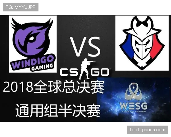 G组冷门走势最新预测