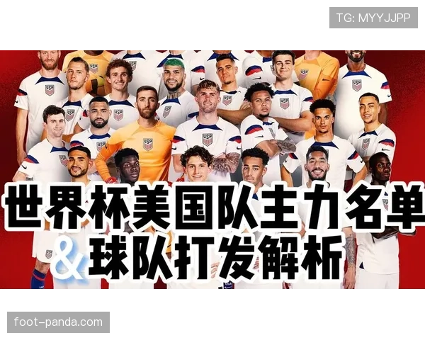 世界杯美国队D组关键节点分析