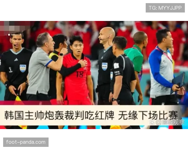 加纳历届世界杯战绩盘点
